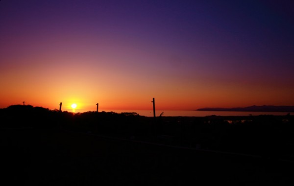 Sea Horse Ranch At Sunset