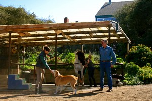 Barbi's Tack Area