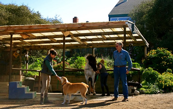 Barbi’s Tack Area