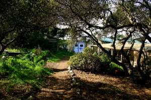 Pathway To Cottage