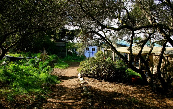 Pathway To Cottage