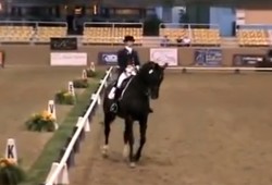 Barbi Breen Gurley and Tango Video