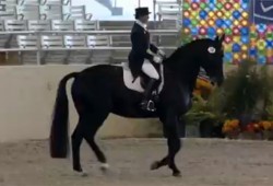 Vindicator & Barbi Breen-Gurley Video