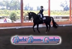 Barbi Breen-Gurley Video