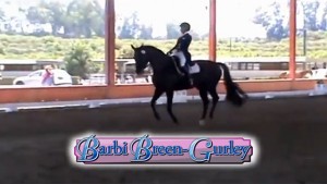 Barbi Breen-Gurley Video