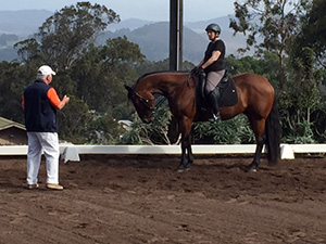 Horse training student