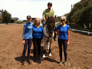 horse boarding professionals