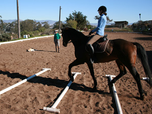 horse riding instruction