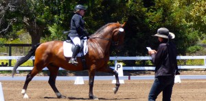 horse riding lessons