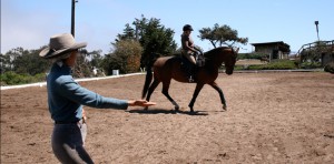 horse riding lessons