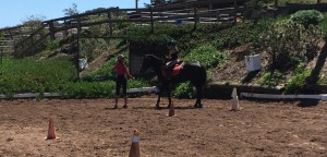 horse riding lessons