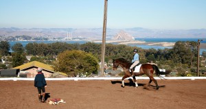 Sea Horse Ranch slider 4