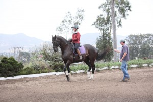 Central Coast Horse Training
