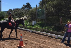 Horseback Riding Lessons In SLO
