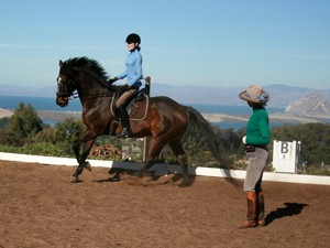 horseback lessons