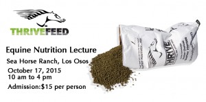 equine nutrition supplements