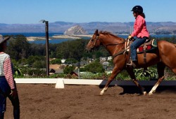 Western Dressage