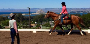 Western Saddle Dressage