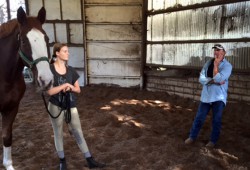 Horse Riding Clinics For Fall 2015