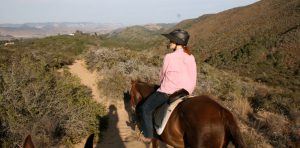 heat-safety-horse-riding