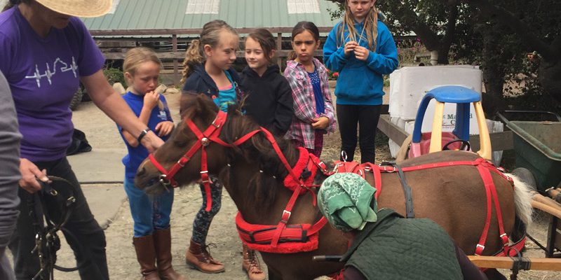 kids-horse-camp-2