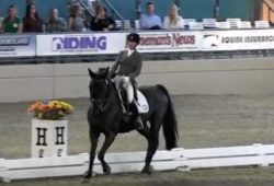 Barbi and Vindicator Compete At FEI Freestyle Test of Choice 2017