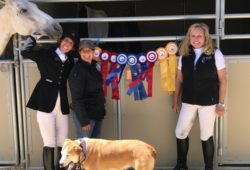 Summer Classic Dressage Show
