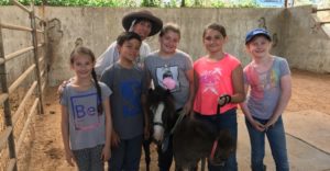 2017-kids-horse-camp