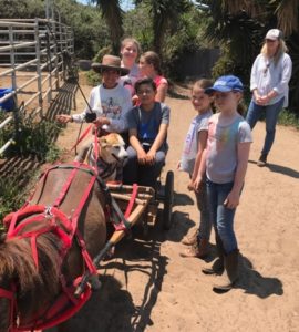 2017-kids-horse-camp2