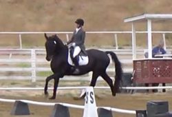 Barbi And Vindicator Competing In Los Alamos