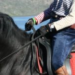 Quiet Hands When Riding Article For Dressage Today