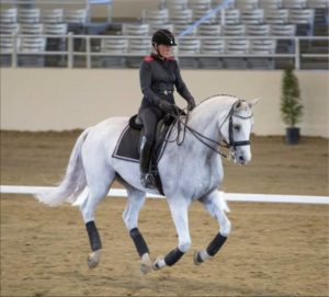 Hilda Gurney Dressage Clinic