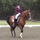 November 3-4 Dressage Clinic With Equestrian Olympian Hilda Gurney
