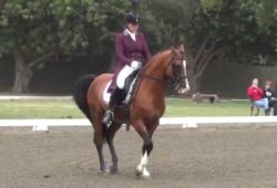 November 3-4 Dressage Clinic With Equestrian Olympian Hilda Gurney