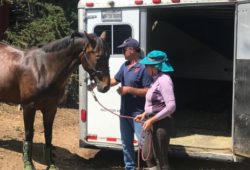 Obedience And Respect Training By Craig Standley