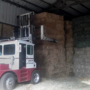 hay-feeding-horses