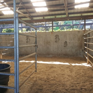 horse-boarding-stalls