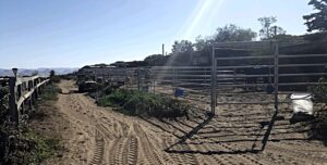 horse-boarding-sea-horse-ranch