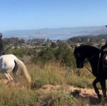 Horse Trail Riding On The Central Coast