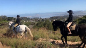 Horse Trail Riding On The Central Coast