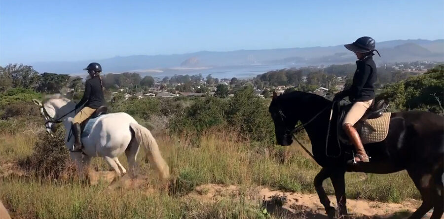 Horse Trail Riding On The Central Coast