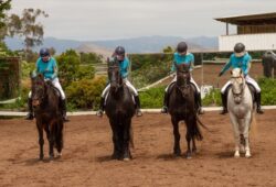 2019 Sea Horse Ranch Schooling Show