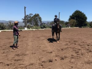socially-distanced-horse-lessons