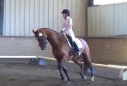 Happy’s 4th Level Freestyle Performance