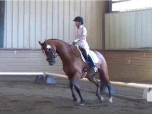 Barbi and Happy - 4th Level