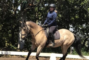 Instructional Schooling Show At The Ranch