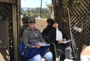 Instructional Schooling Show At The Ranch