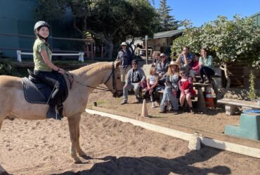 Dressage Competition Clinic