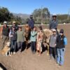 Dressage Competition Clinic