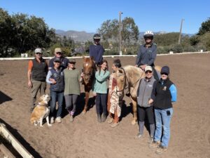 Dressage Competition Clinic